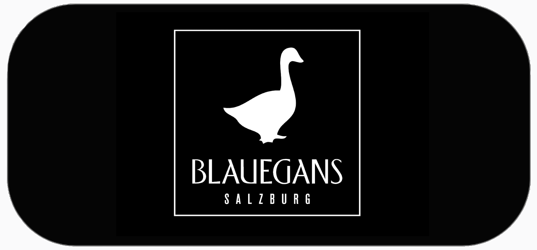 Blaue Gans